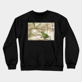 An American In Canada Crewneck Sweatshirt